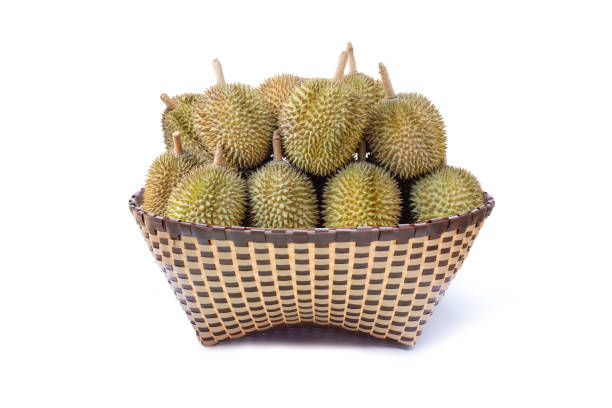 Durian fruit in basket