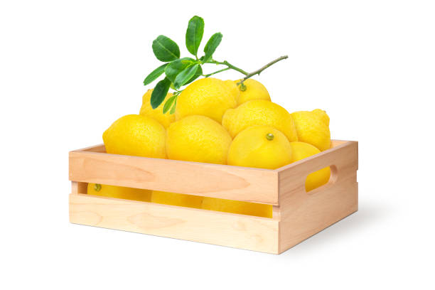 istock Lemon fruits in wooden box 2154288332