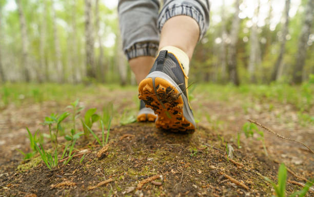 istock Foot steps in the countryside 2154293638
