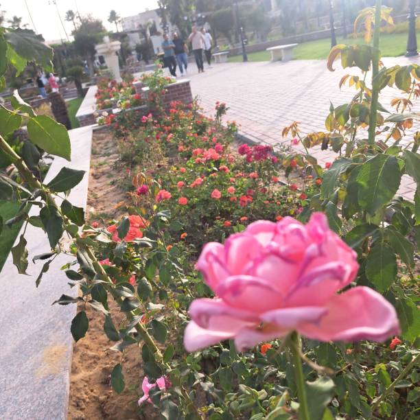 Photo  was taken from ontanyades gardens