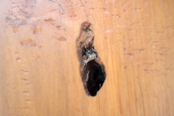 istock a Black hole on wooden table 2154301649