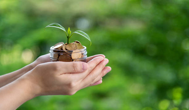 istock Young plant growing from coin jar 2154316397