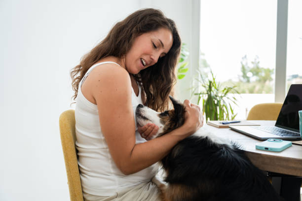 istock Woman working from home with pet dog 2154316754