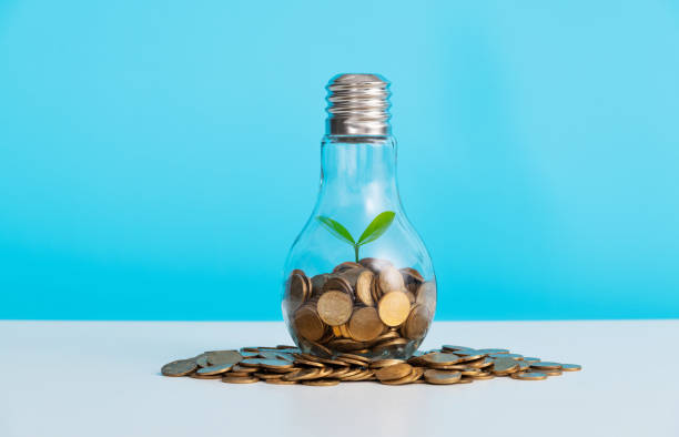 istock Light bulb with small plant on coins 2154318488