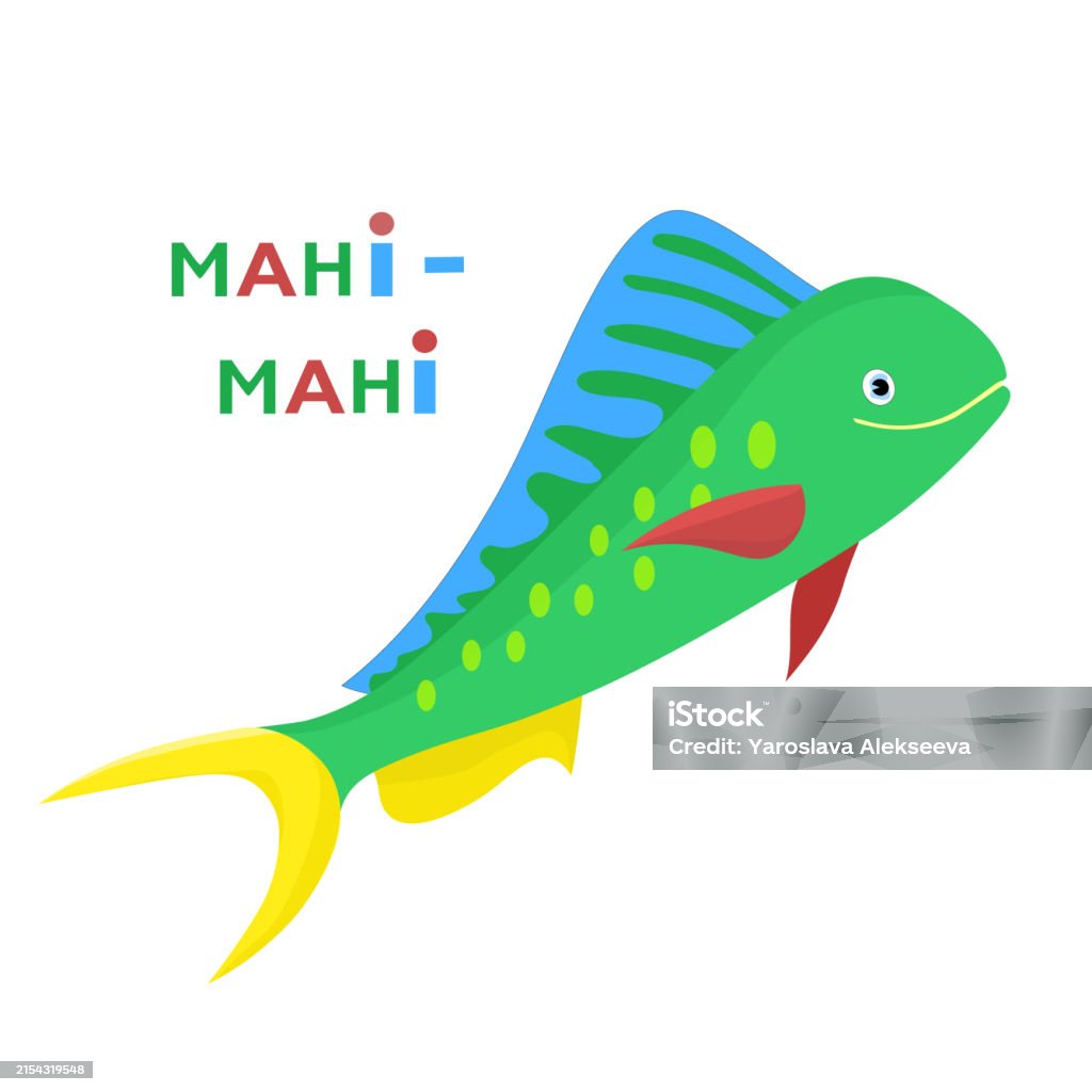Mahi Vector Mahi Mahi Fish Vector Cartoon Color Image Stock Illustration - Download ...