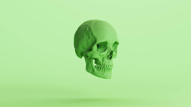Human skull green mint soft tones anatomical cranium Halloween horror background quarter right view 3d illustration render digital rendering