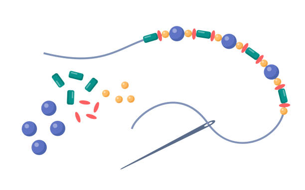 String a bead on thread and making jewelry. Handmade work, creative craft hobby or activity. Making bracelets. Jewelry workshop. Vector. String a bead on thread and making jewelry. Handmade work, creative craft hobby or activity. Making bracelets. Jewelry workshop. Vector Bead stock illustrations