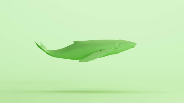 istock Green whale large humpback whale mint soft tones sculpt background 2154322056
