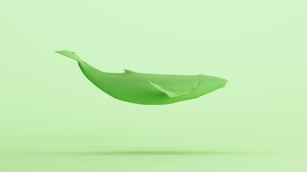 istock Green whale large humpback whale mint soft tones sculpt background 2154322074