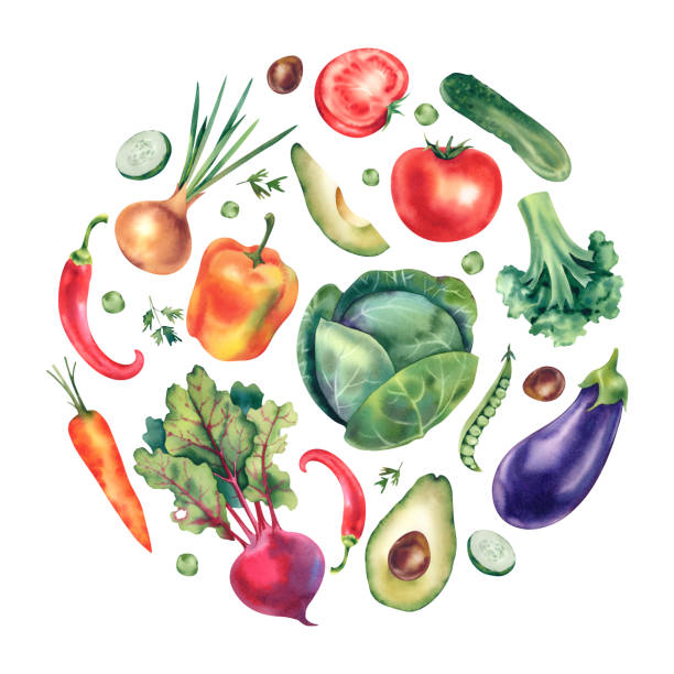 istock Watercolor vegetables set in a circle. Cabbage, pepper, eggplant, tomato, cucumber, beetroot, green peas, avocado and onion. The illustration is hand painted. For designers, printing, postcards. 2154325438