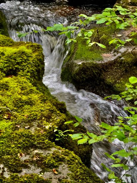 Hiking in Brecon Beacons National Park