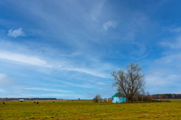 Weimar, Germany - May 3, 2023:  A beautiful countryside villa in Weimar, Germany surrounded by lush greenery and a clear blue sky. Perfect depiction of serene European living.