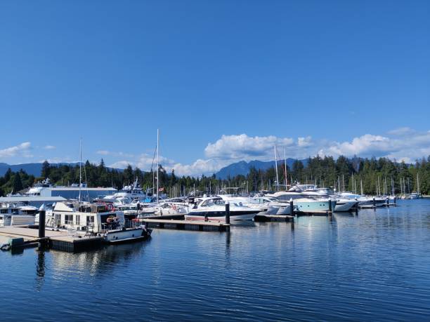 istock Pics taken in Stanley Park, Vancouver 2154328570