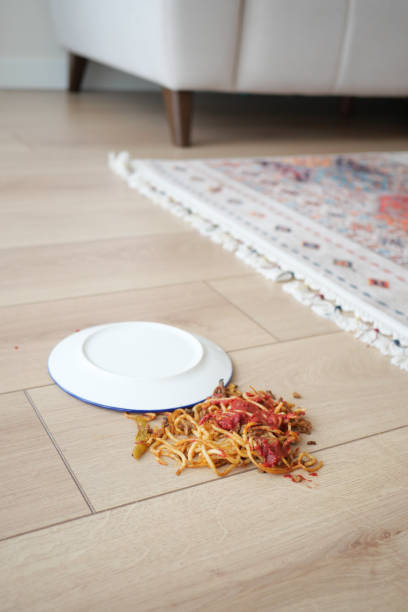 Spaghetti and sauce spilled on floor.