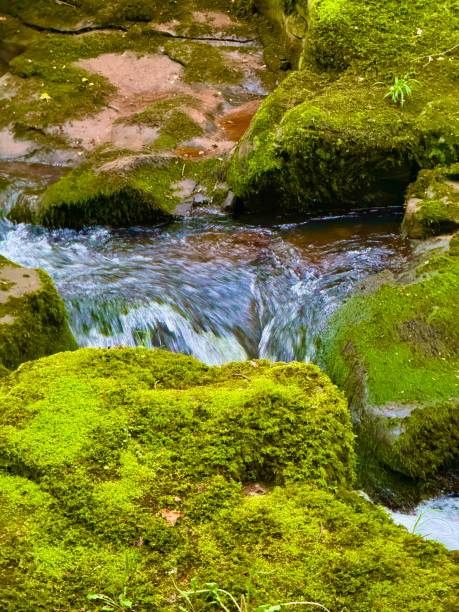 Hiking in Brecon Beacons National Park