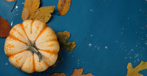 Thanksgiving background with pumpkin and copy space for holiday.