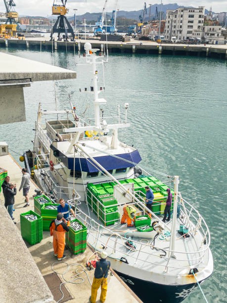 Pasajes, Spain - March 24, 2024. A traditional coastal fishing boat offloading freshly caught fish upon arrival at the picturesque Pasajes port. Gipuzkoa, Basque country, Spain.