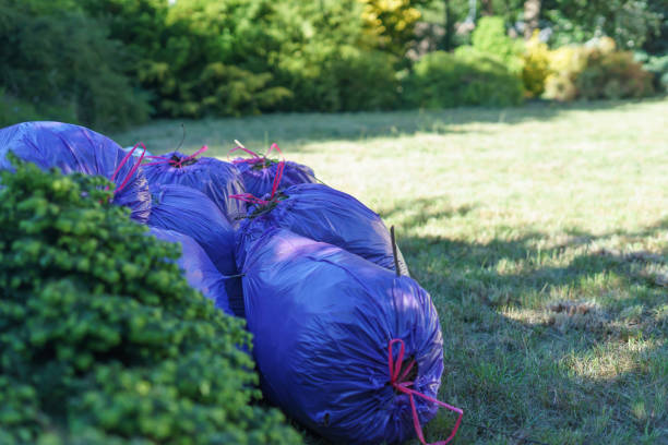 istock Bags with grass put aside in a garden 2154345832