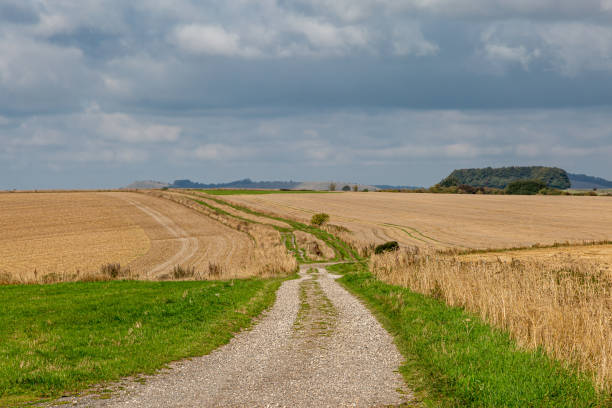 istock A track through Wiltshire farmland, on a September day 2154354452