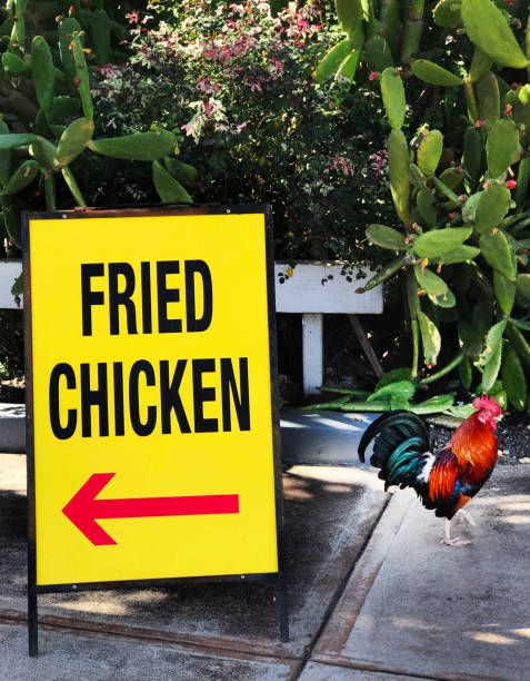 istock Fried Chicken Sign, Escaping Kauai Rooster Running Away from Danger 2154355662