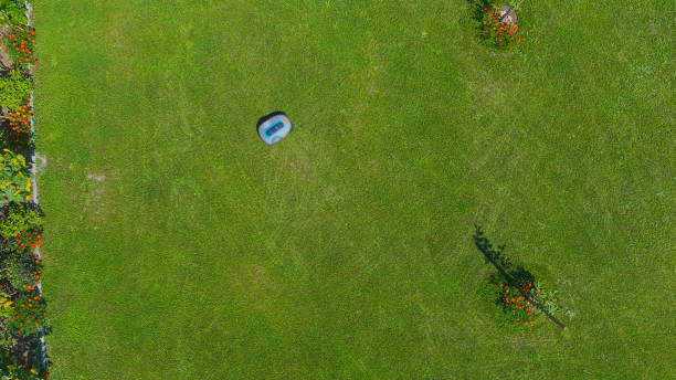 istock AERIAL TOP DOWN: Robotic lawn mower working on a well maintained green lawn 2154363544