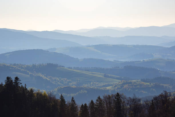 Morning fog in a mountain valley area