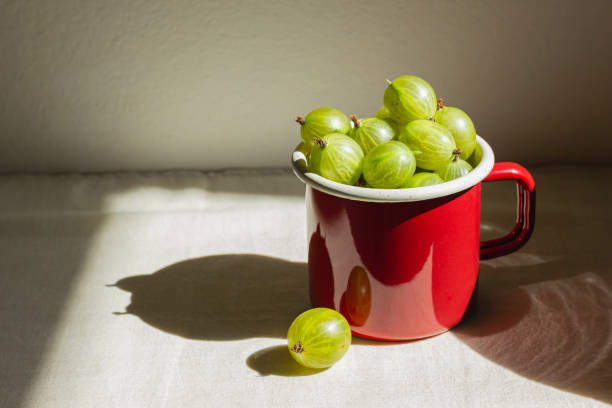 Gooseberry in a red enamel mug in sunlight. Fresh green berries on a light tablecloth.
