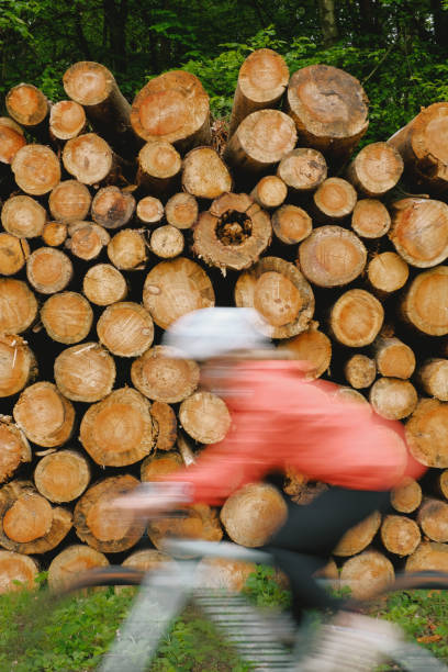 Road bicyclist rides by stacked logs, blurred motion