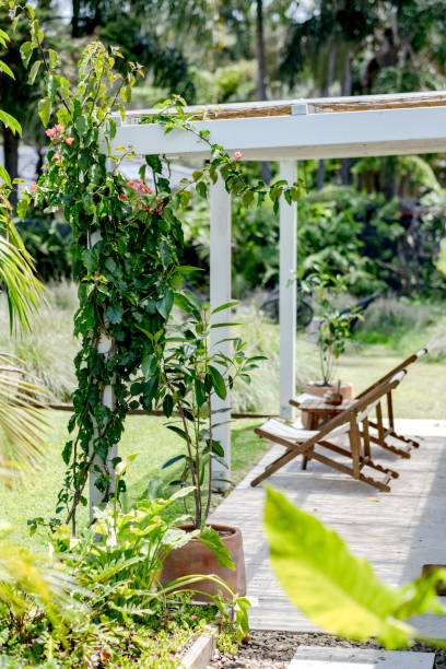 istock Exterior of guesthouse 2154374757