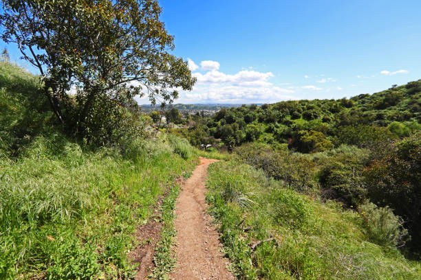 istock Along the Open Door Nature Trail 2154376504