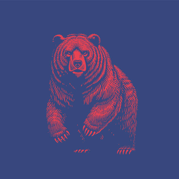 Red stencil bear standing on blue BG Monochrome red woodcut stencil drawing of angry Bear standing with two legs vector illustration isolated on deep blue background realistic bear stock illustrations
