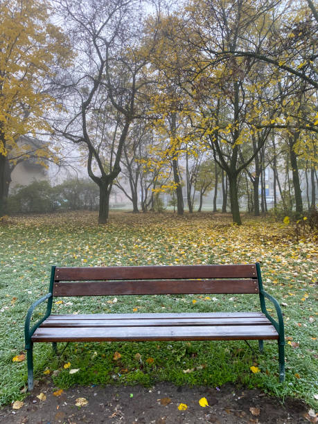 istock A frozen bench in the city park 2154380747