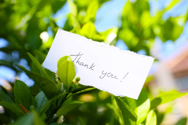 handwritten Thank You card on a colorful natural background