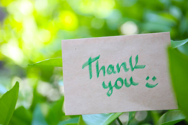 handwritten Thank You card on a colorful natural background