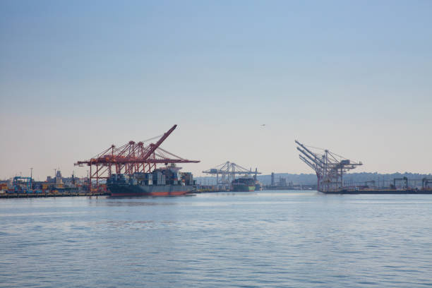 istock Port of Seattle 2154384947