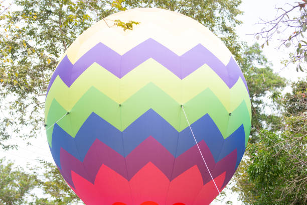 Colorful balloons surrounded by green branches