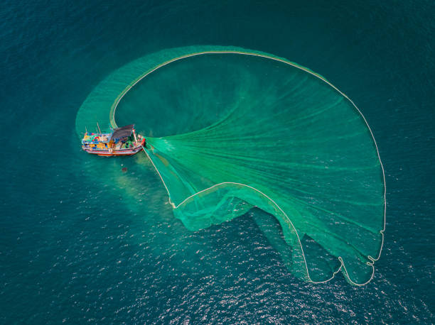 istock Netting fish on Dai Lanh sea 2154387626