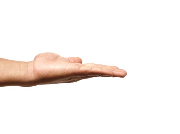 istock Male hands open and stretched forward on business concept isolated on white background. 2154390650