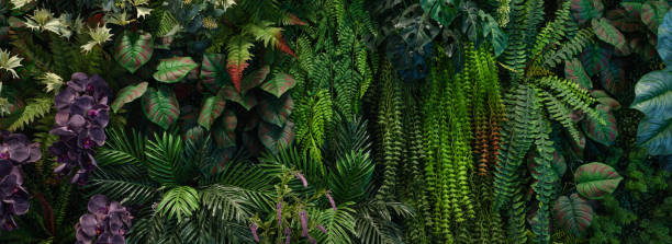 istock Group of dark green tropical leaves background. 2154394203