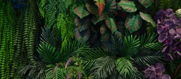 istock Group of dark green tropical leaves background. 2154394213