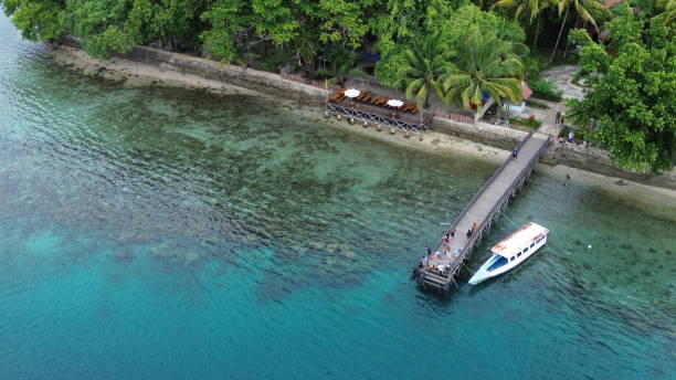 istock Aerial view of Island 2154395519