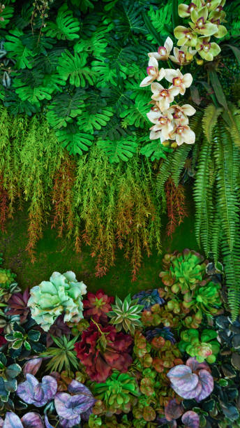istock Group of dark green tropical leaves background. 2154396212