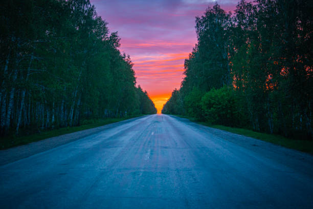 road at red sunset in a forest