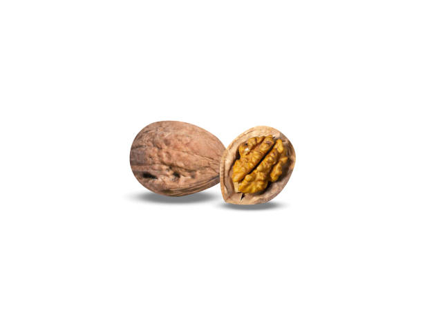 istock Juglans cinerea or butternut 2154400232