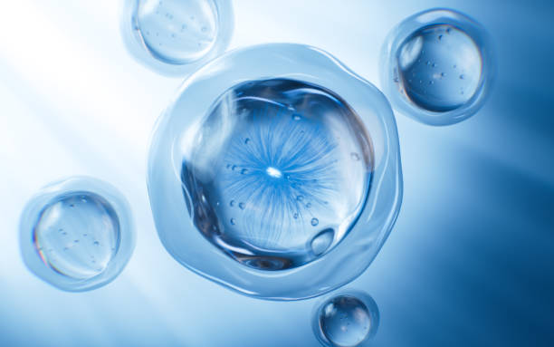 istock Biological cell background, skincare and biomedical concept, 3d rendering. 2154400357