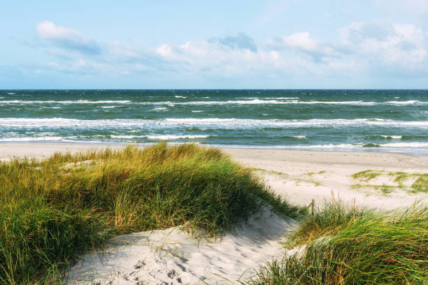 At the Baltic Sea on sunny day