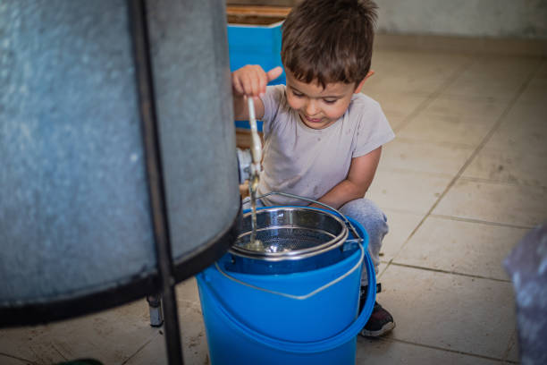 A person in casual attire engages in cow milking, deftly drawing fresh milk into a metal pail; surrounding greenery suggests an outdoor pastoral setting.