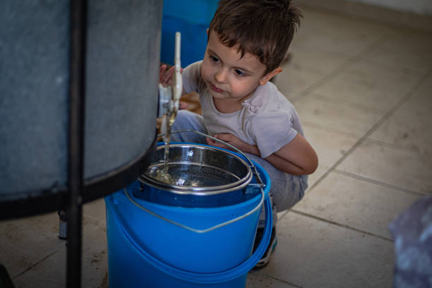 A little boy consumes honey