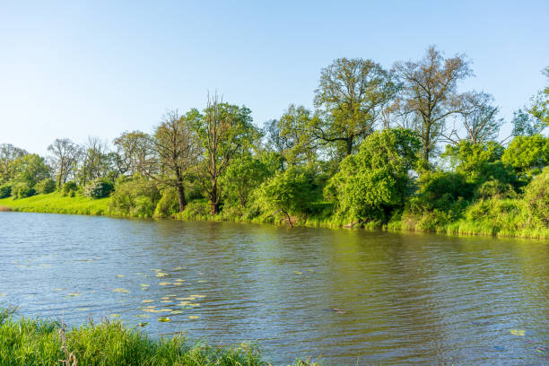 istock Sunny morning at a beautiful lake landscape 2154411475