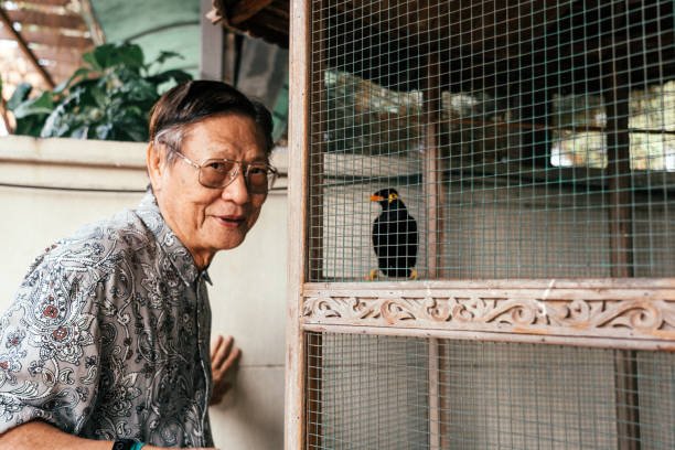 Asian old man with myna in birdcage at home